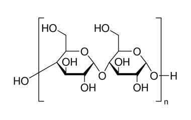 Modified Starch